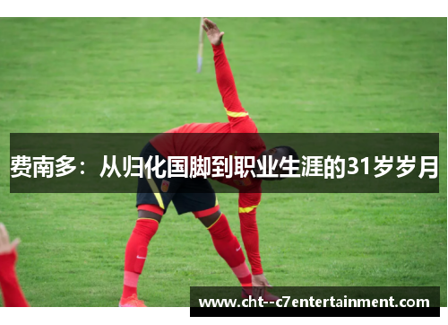 费南多:从归化国脚到职业生涯的31岁岁月 费南多:从归化国脚到职业生涯的31岁岁月